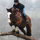 Testimonial Cass Riggs - Eventer and Owner of South Farm Equest