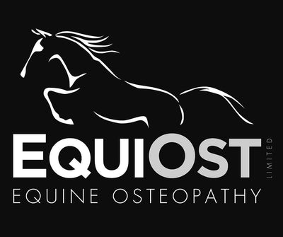 Testimonial Freddie Bunting - Equiost Equine Osteopathy